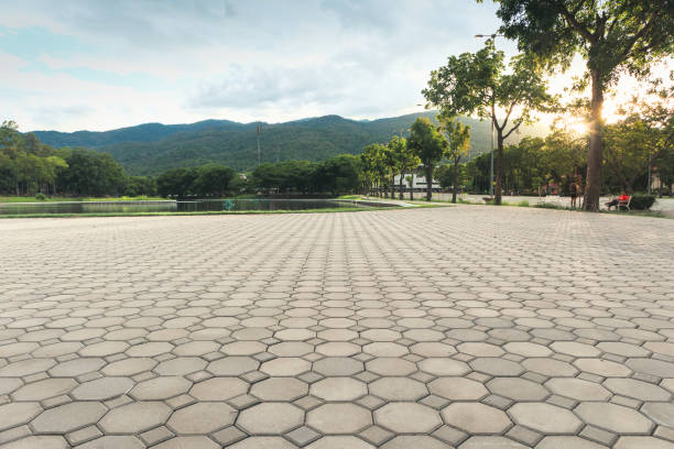 Best Professional Driveway Pavers  in Muttontown, NY